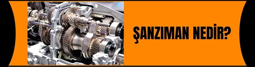 ŞANZIMAN NEDİR? ŞANZIMAN NEDİR?